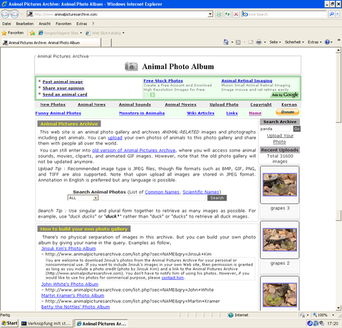 APA-browsershots.org-IE8.png